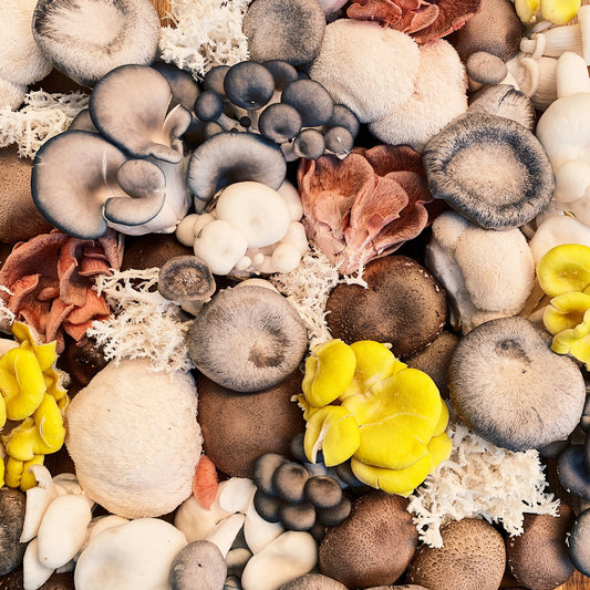 Benefits of Eating Whole Mushrooms